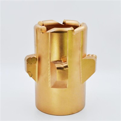 φ169 PDC Pysgota Did